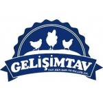 GELİŞİM TAVUKÇULUK